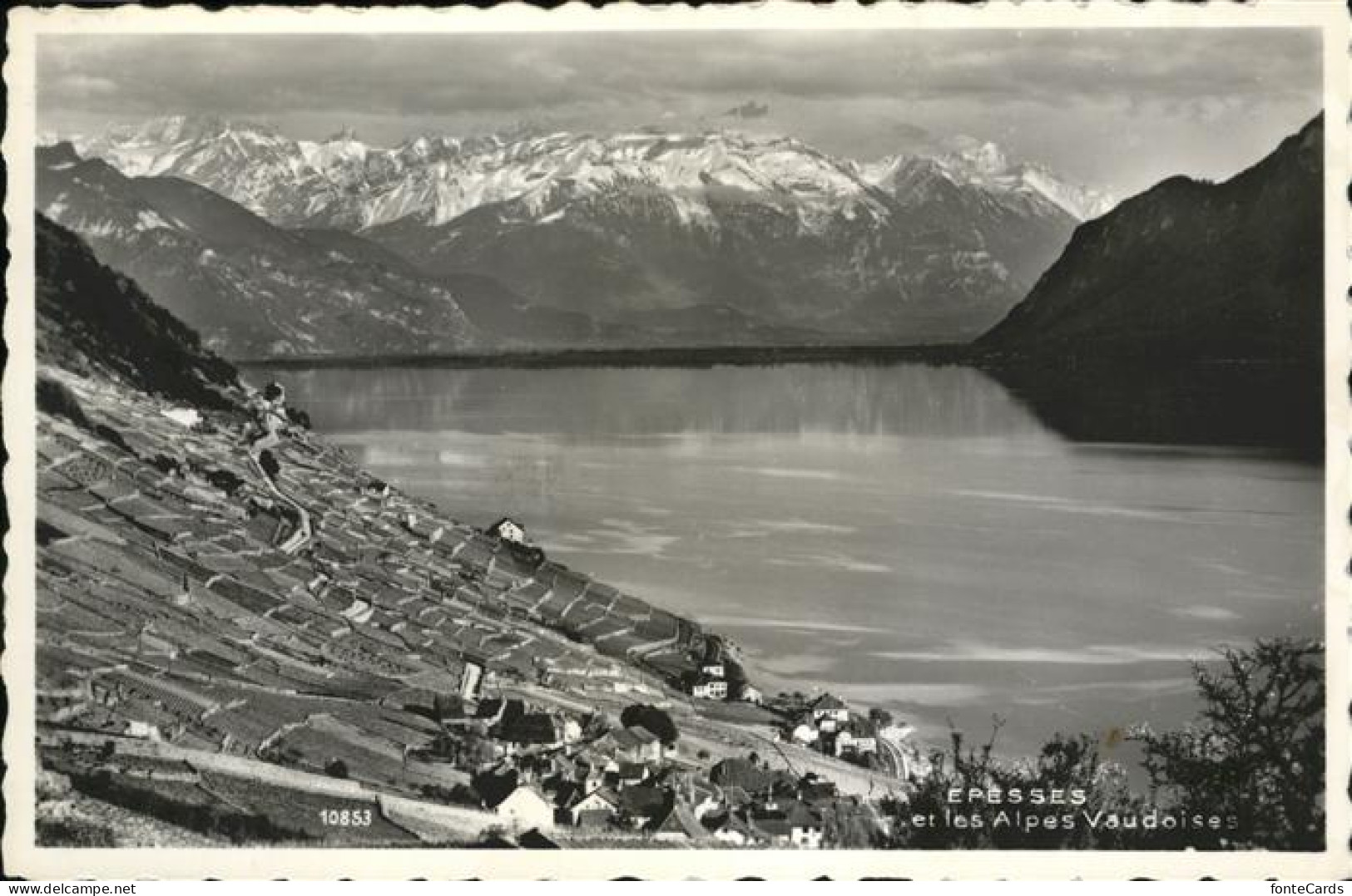 Epesses Alpes Vaudoises
