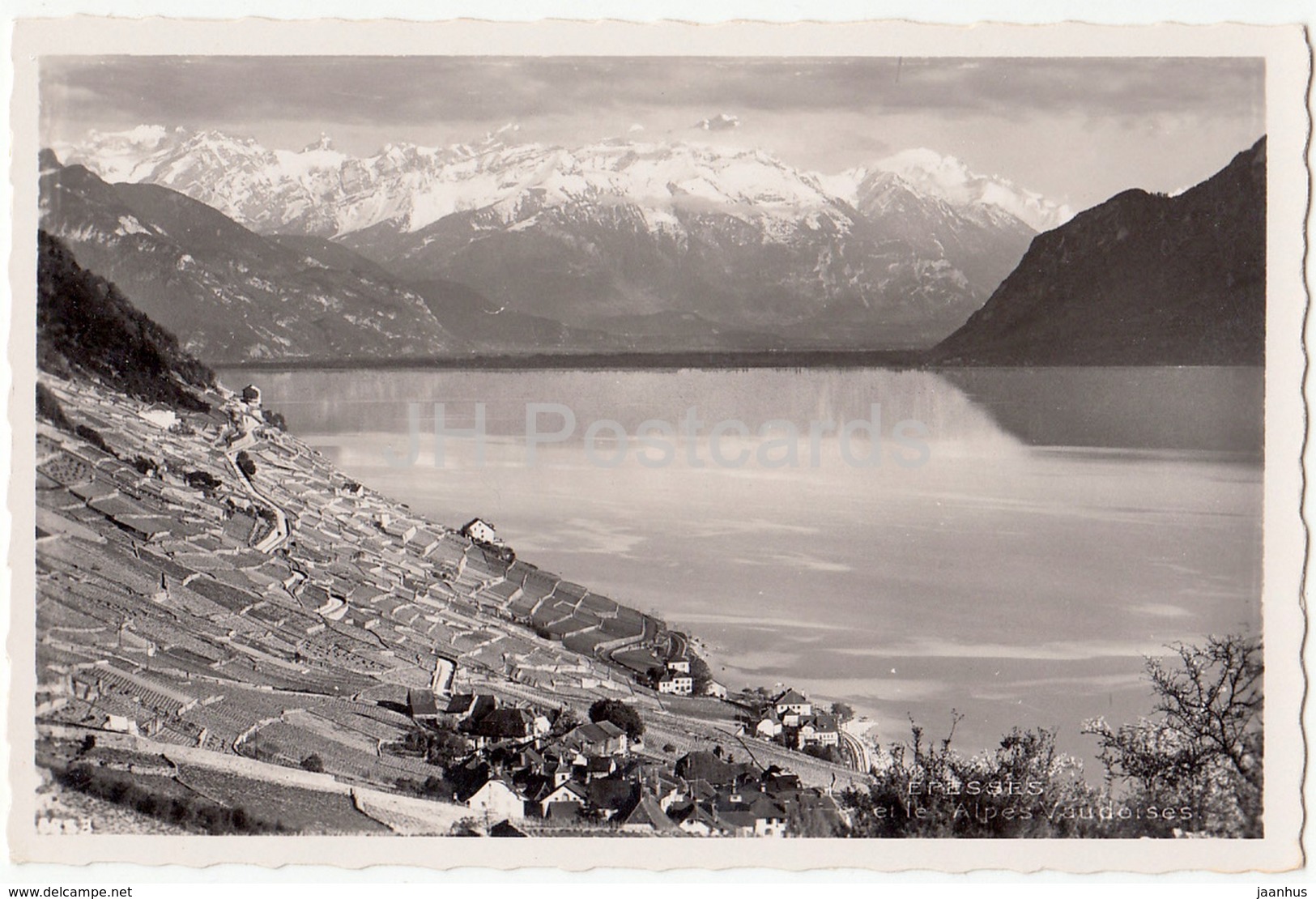 Epesses et le Alpes Vaudoises - Switzerland - old postcard - unused