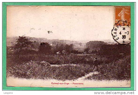 EPINAY sur ORGE --  Panorama
