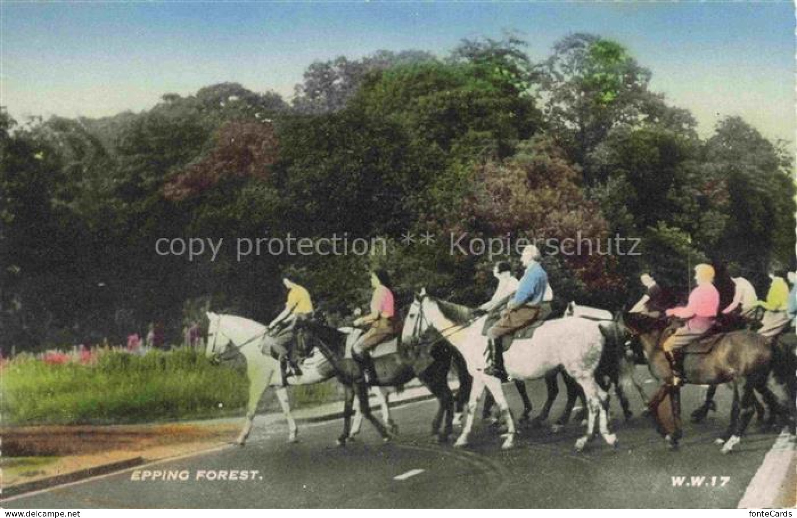 Epping Forest Essex UK Fuchsjagd