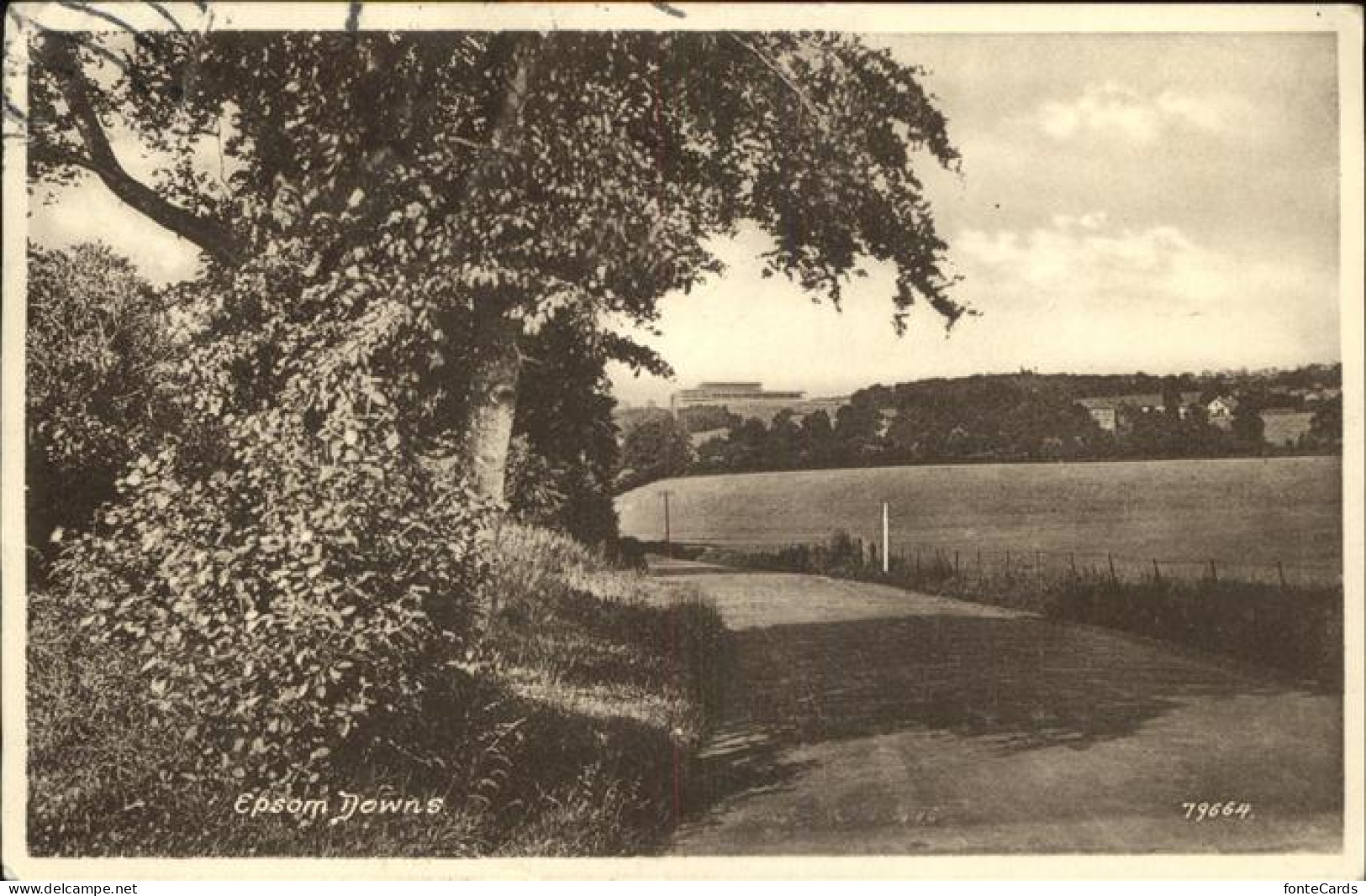 Epsom New Hampshire Downs