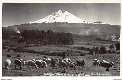 Ecuador - El Cotopan - POSTAL FOTO - Ed. desconocido