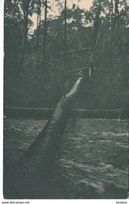 POSTAL DE GUINEA ESPAÑOLA DE UN PUENTE RUSTICO SOBRE EL RIO N'DOTE (EXPO IBERO-AMERICANA SEVILLA 1929)