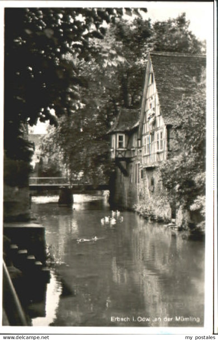 Erbach Odenwald Erbach  x 1954