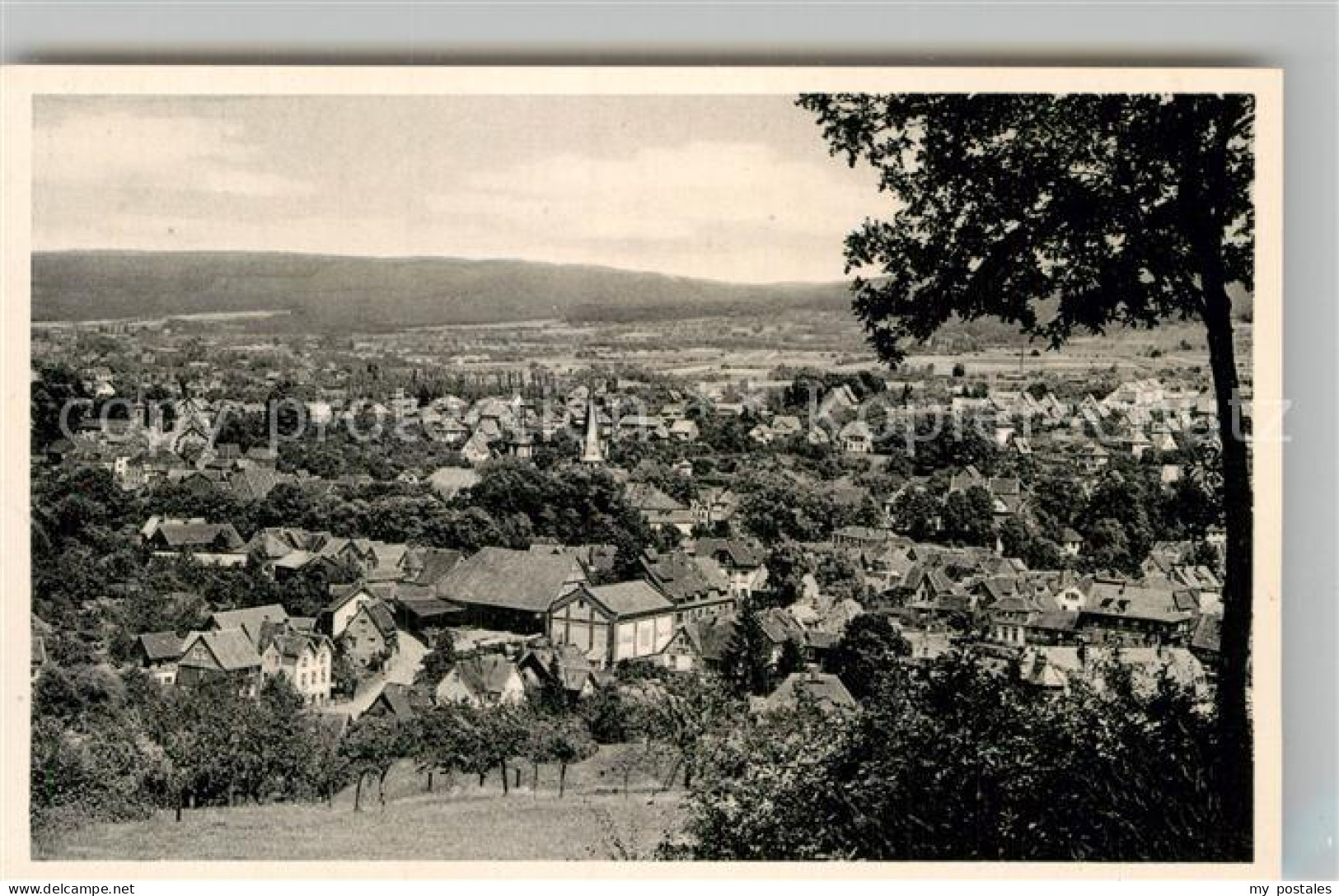 Erbach Odenwald Panorama
