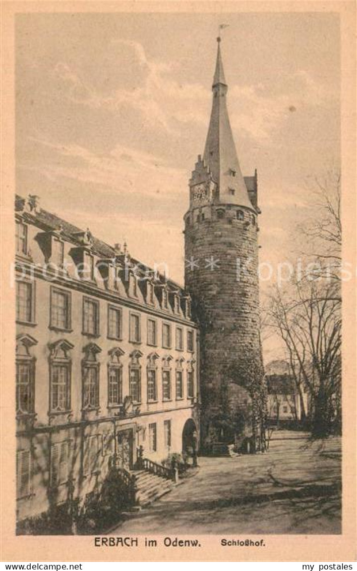 Erbach Odenwald Schlosshof