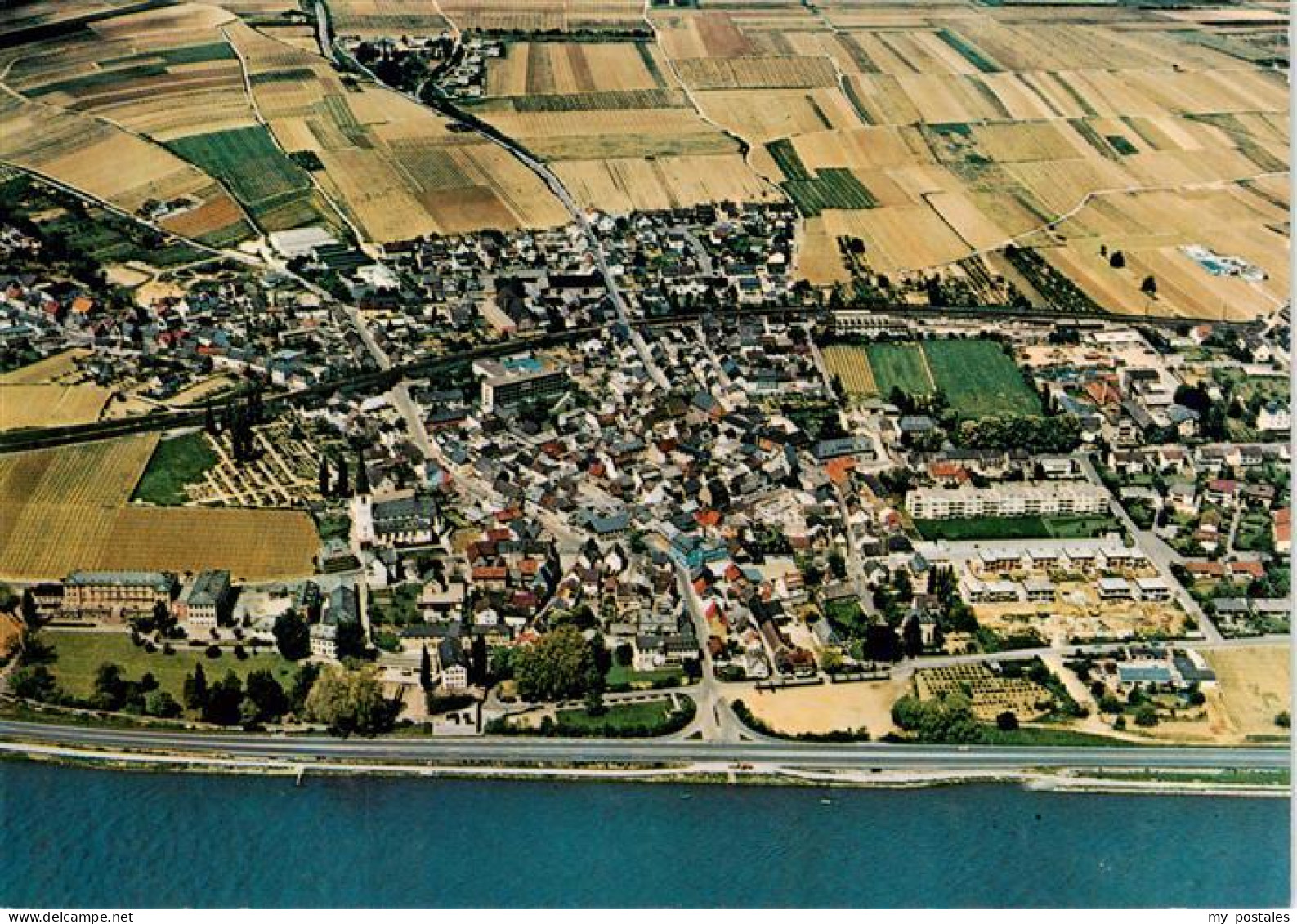 Erbach Rheingau Eltville Hessen Rhein Rheingau Weinberge Felder Wohnhaeuser Luft