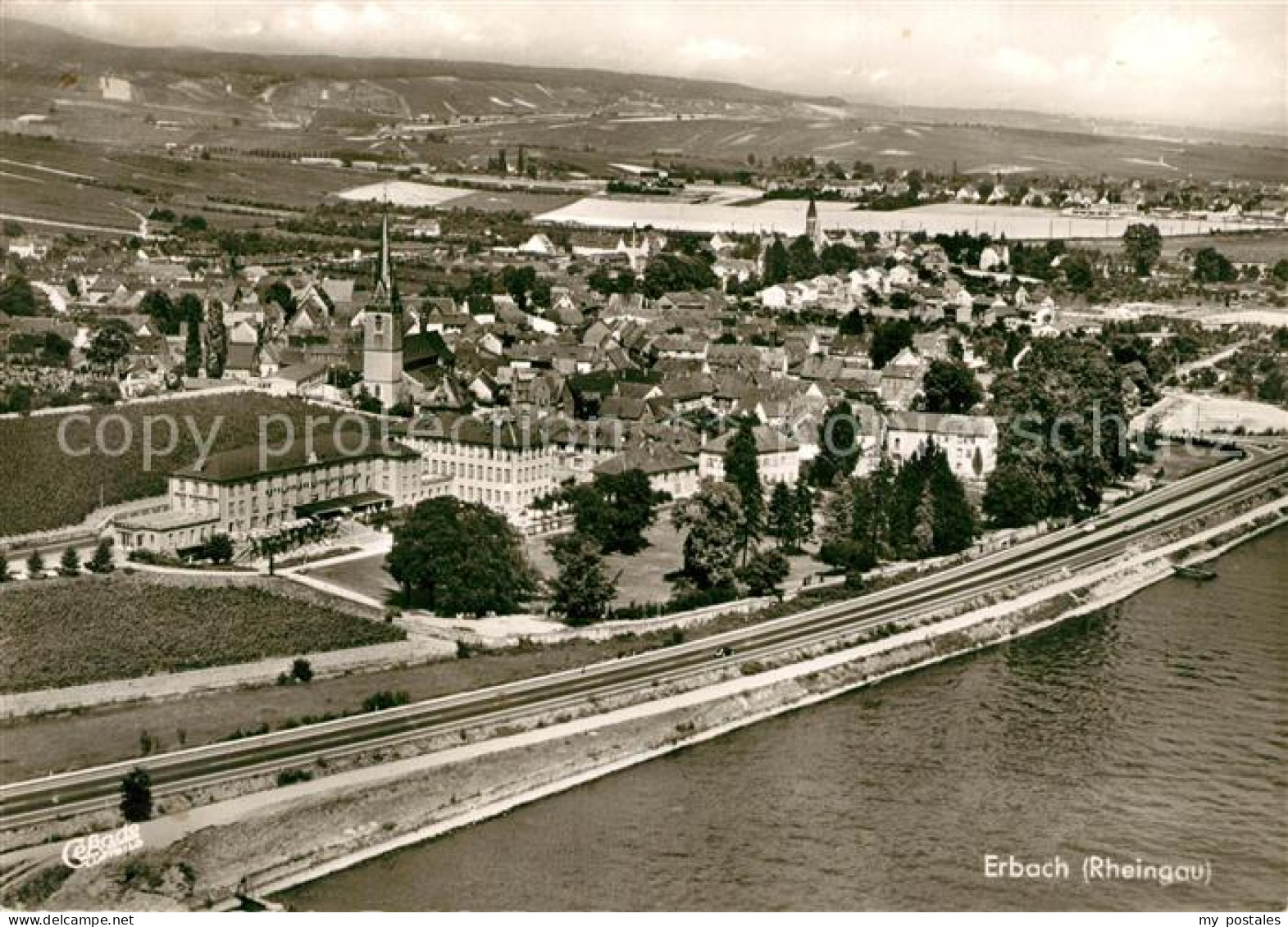 Erbach Rheingau Fliegeraufnahme