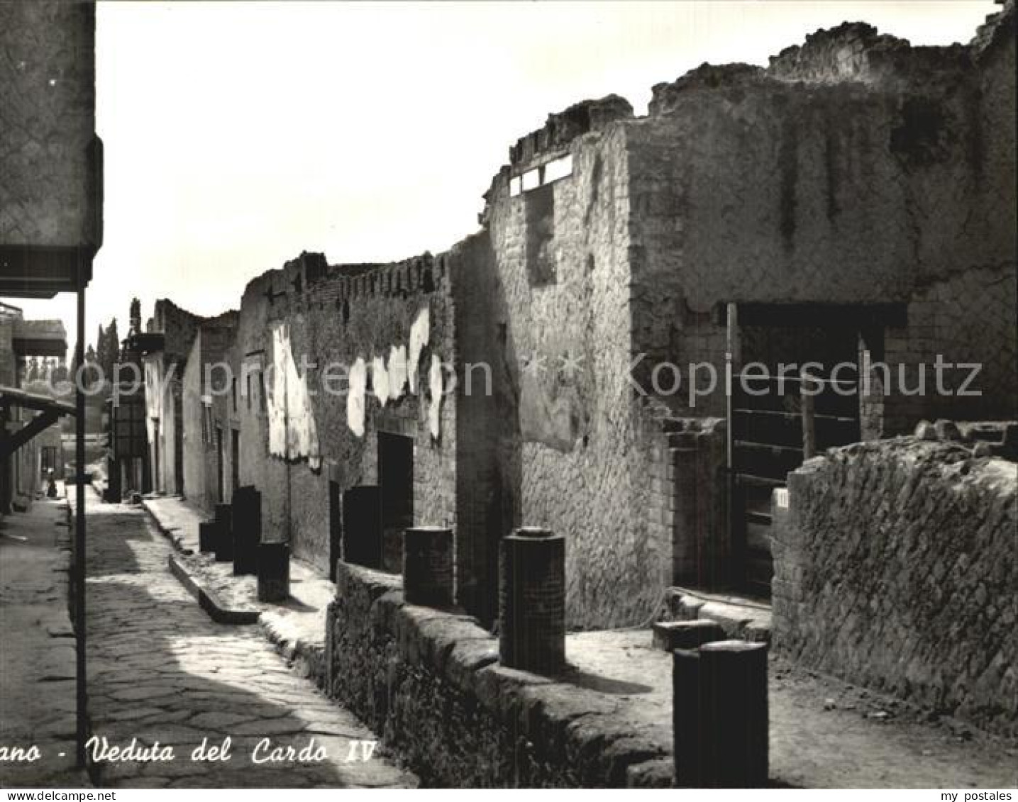 Ercolano Cardo IV