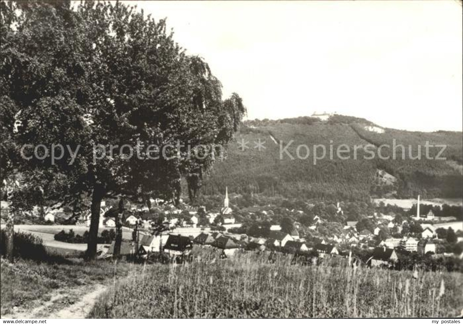 Erdmannsdorf Augustusburg Panorama mit Blick zur Augustusburg