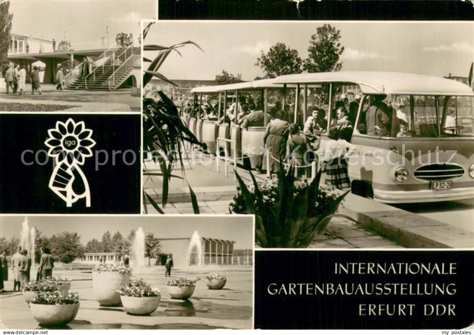Erfurt IGA Erfurt Hallen Bustransfer