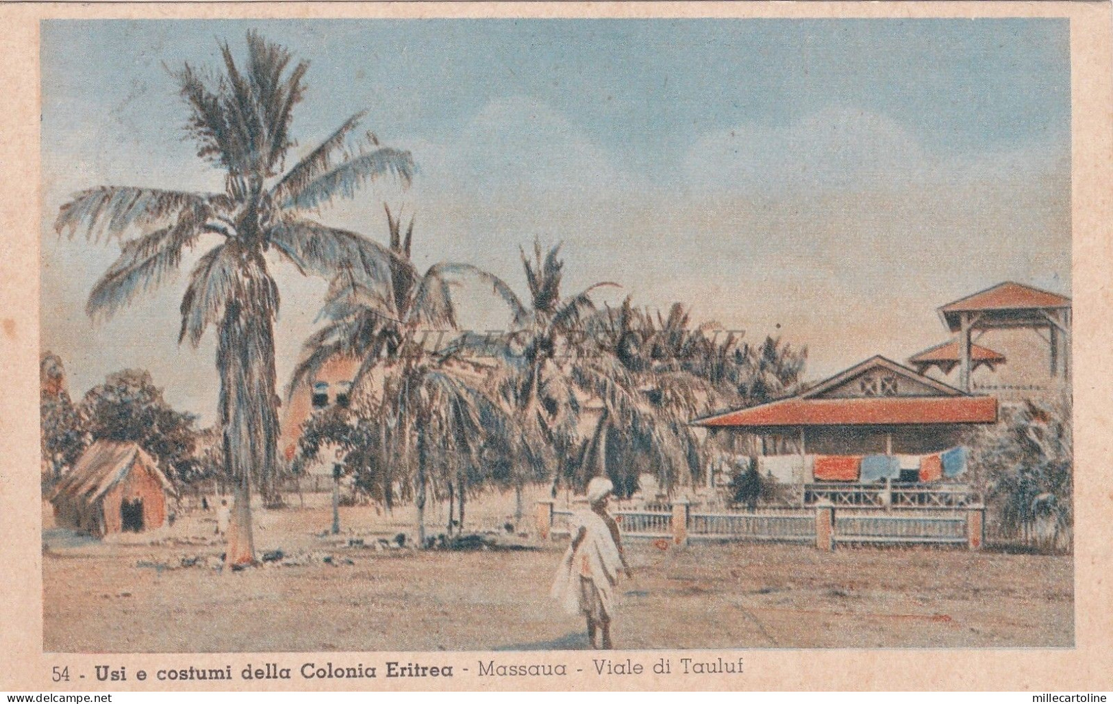 ERITREA - Massaua - Usi e Costumi della Colonia Eritrea - Viale di Tauluf