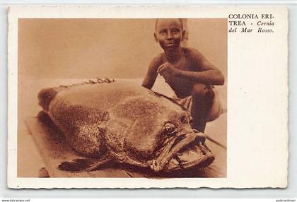 Eritrea - Red Sea grouper - Publ. Cartoleria A.O. 40