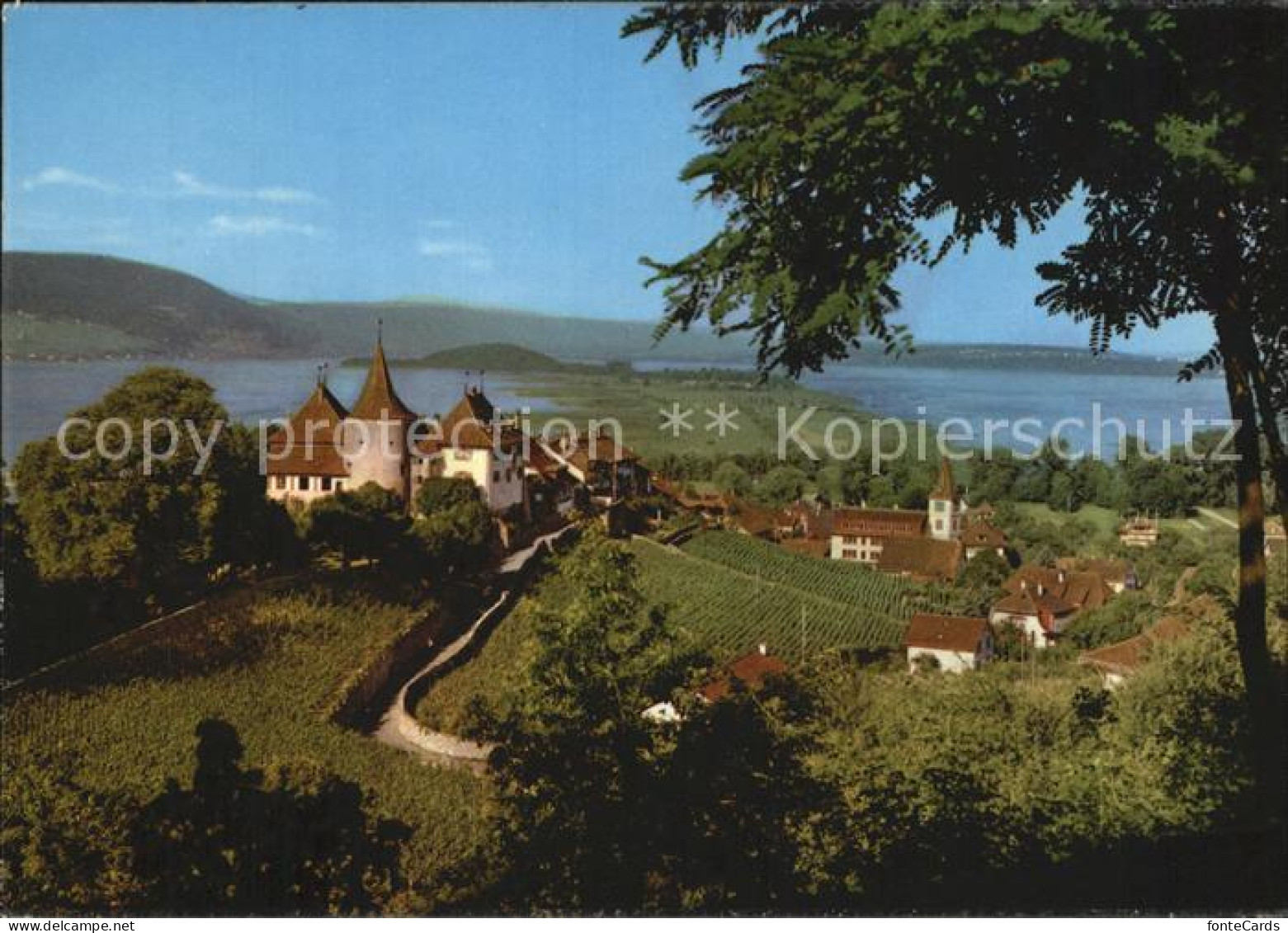 Erlach BE Cerlier