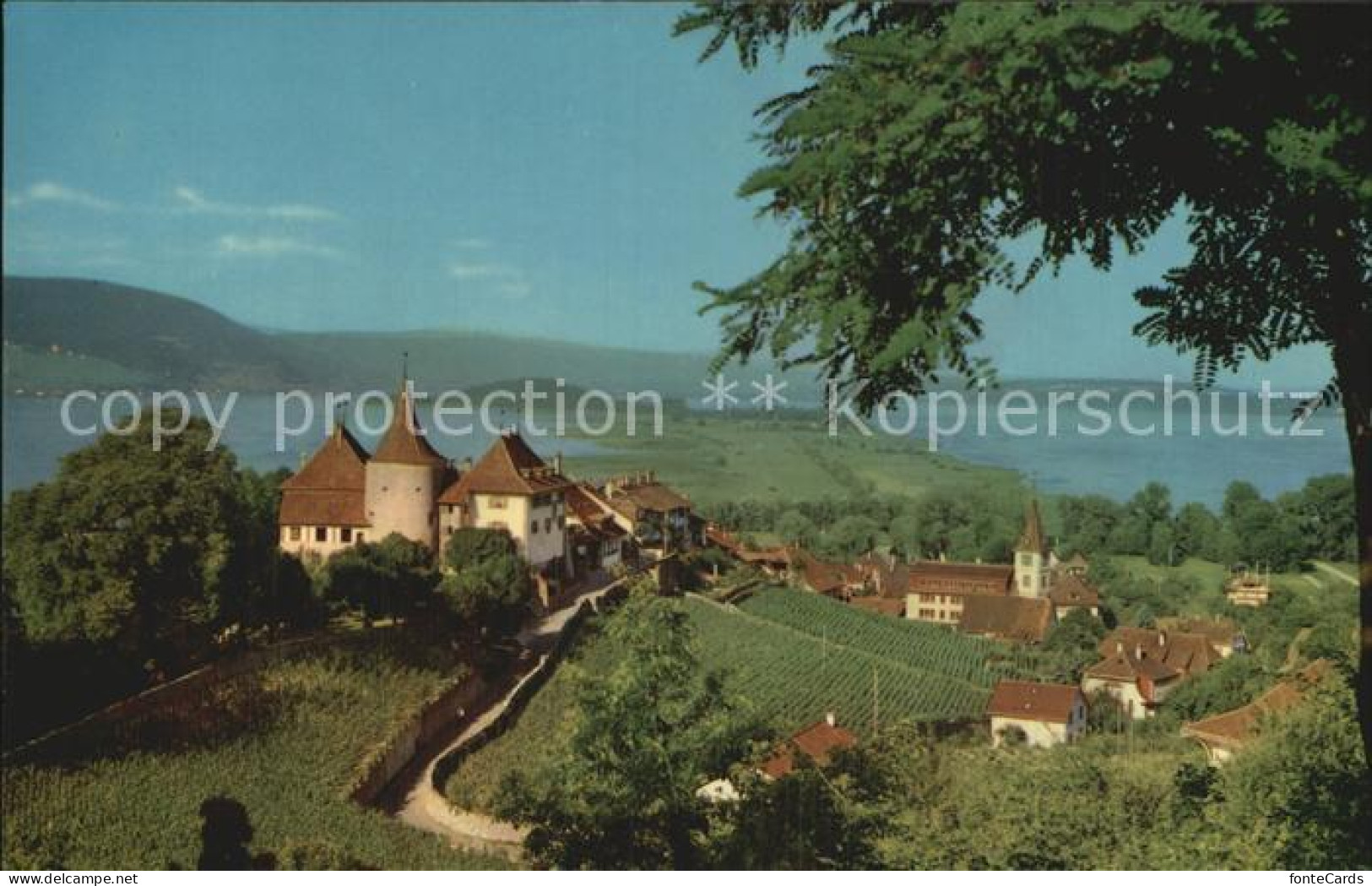 Erlach BE Cerlier und Peterinsel