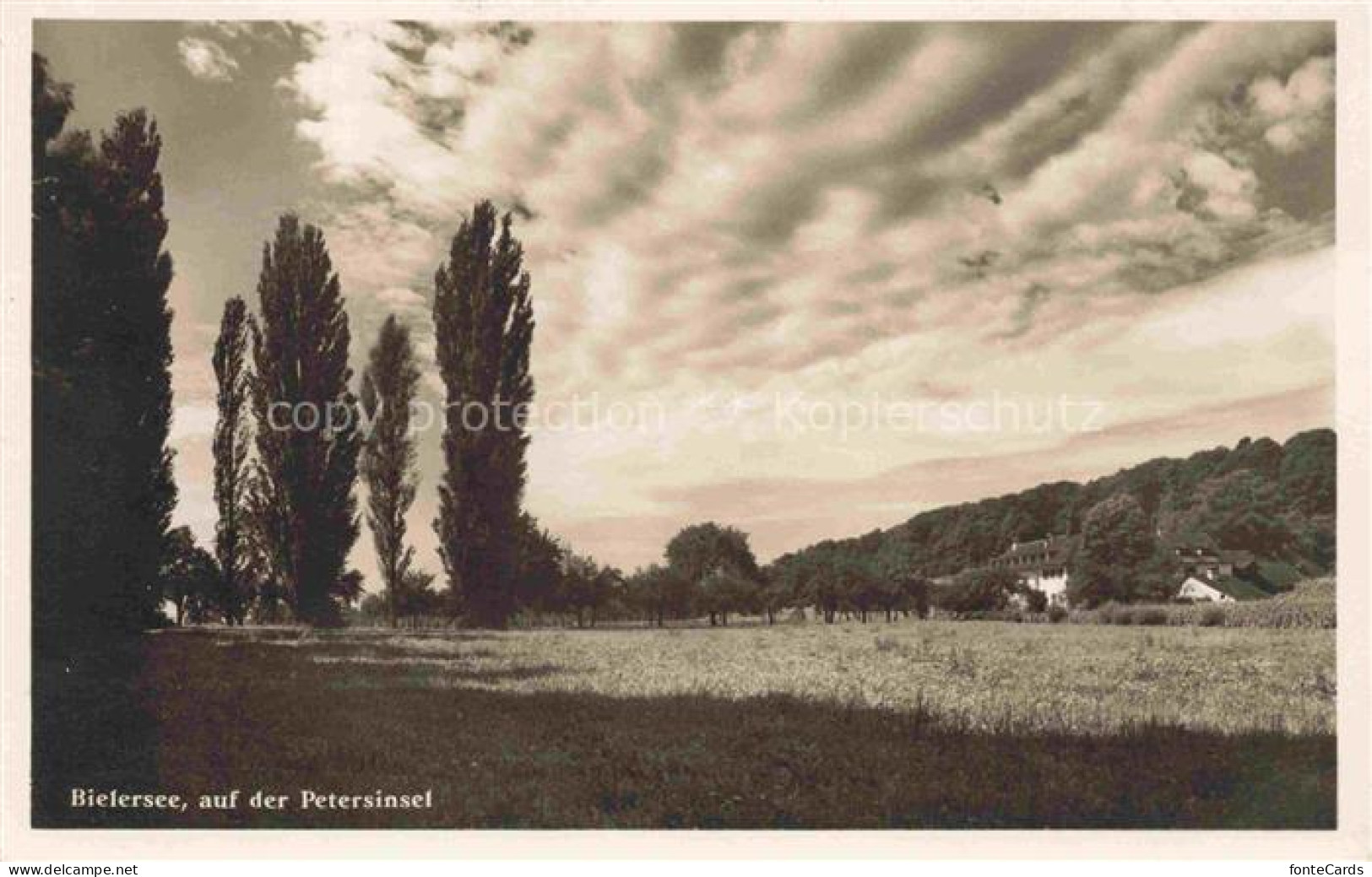 Erlach Bielersee BE Auf der St. Petersinsel im Bielersee