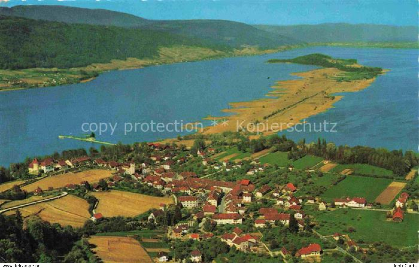 Erlach Bielersee BE Bielersee Petersinsel See Dorf Felder Rote-Daecher Waelder