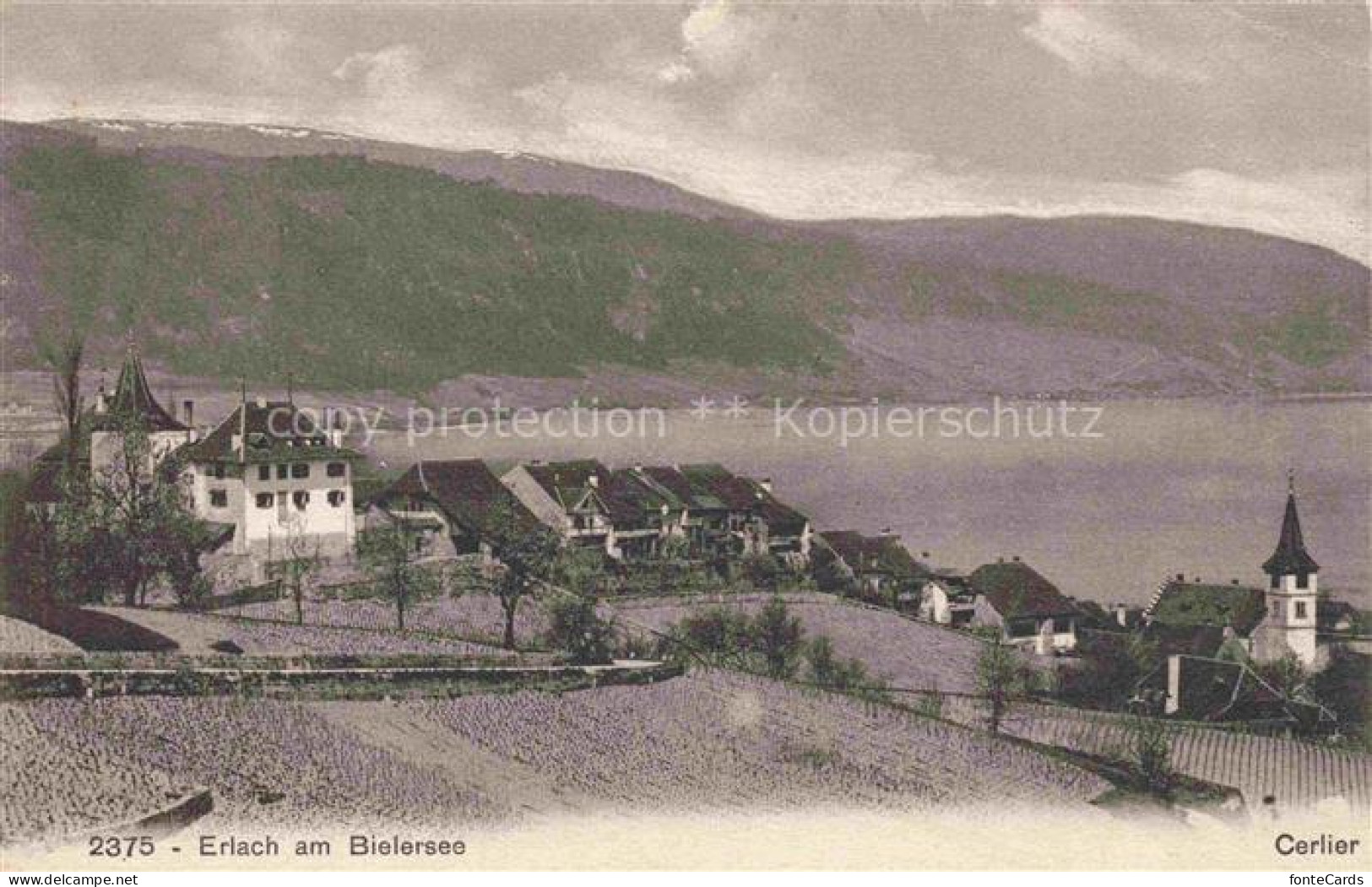 Erlach Bielersee BE Schloss Bielersee See Kirche Weinreben Dorf Berge