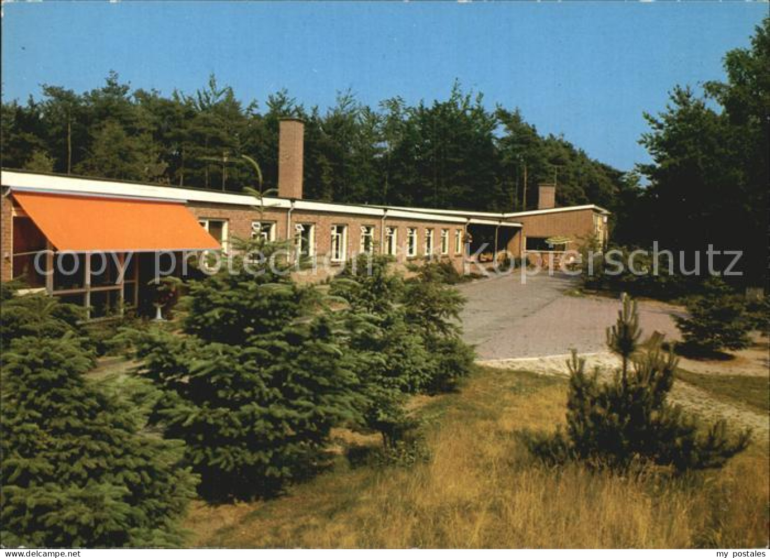 Ermelo Dennenheul