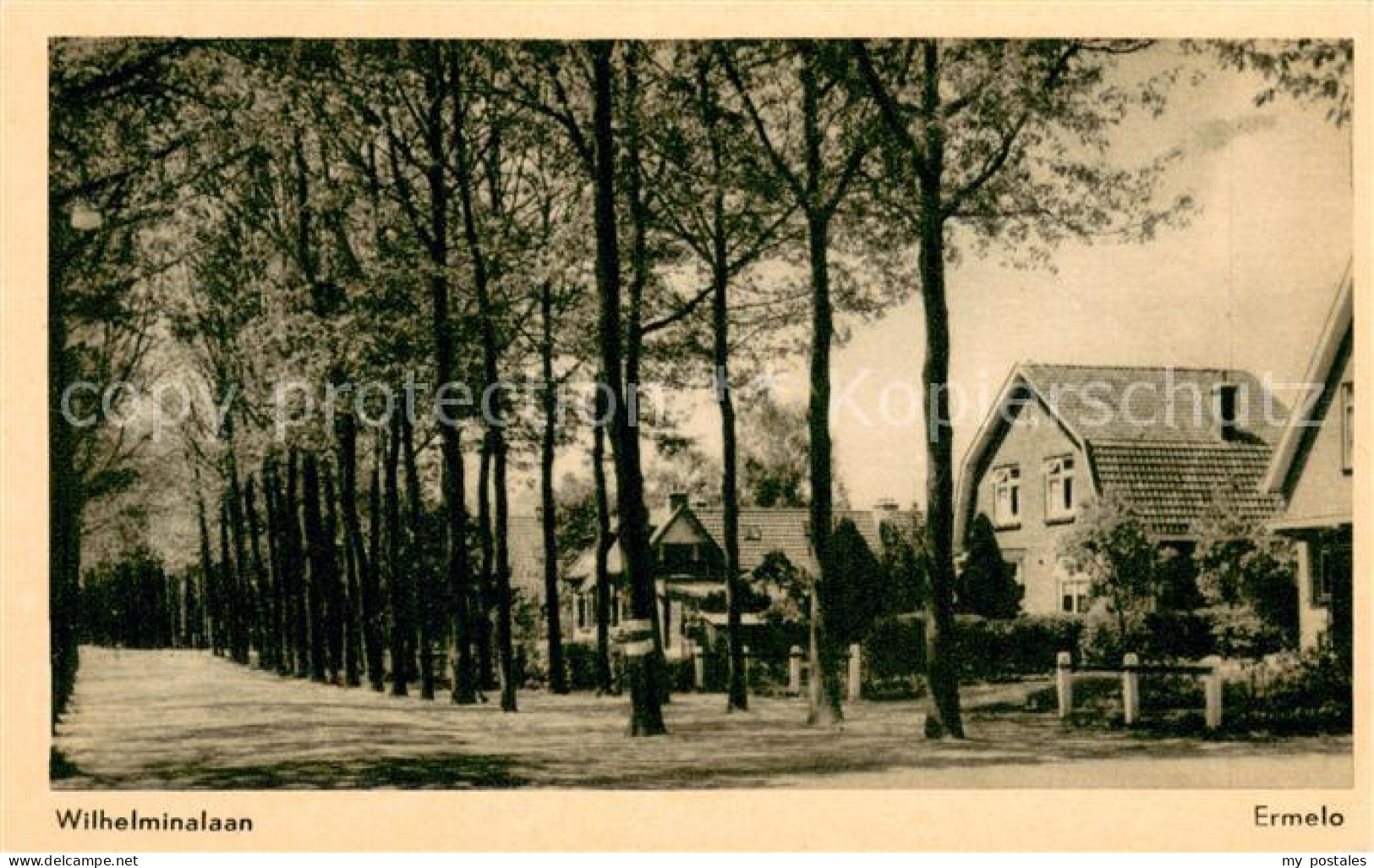 Ermelo Wilhelminalaan