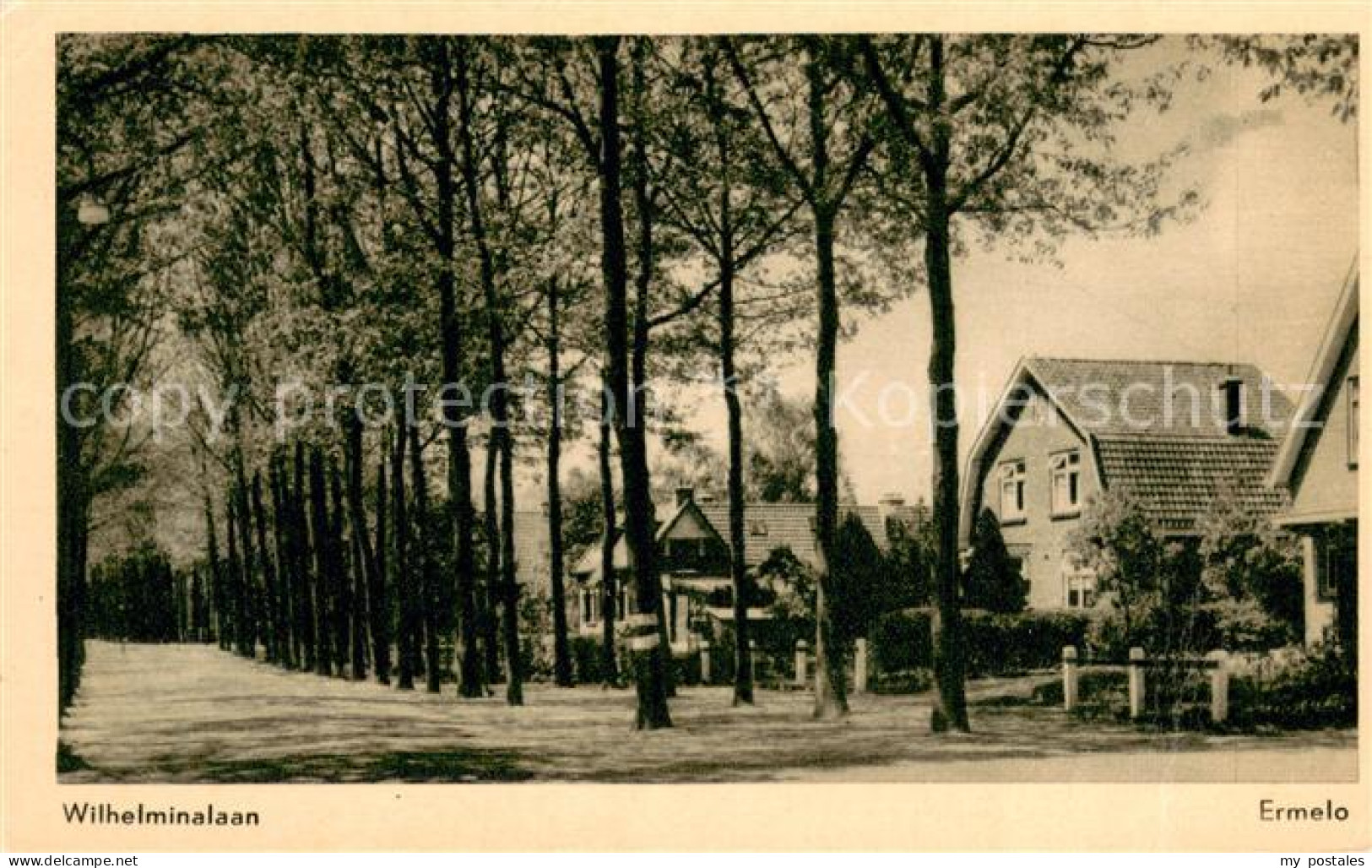 Ermelo Wilhelminalaan