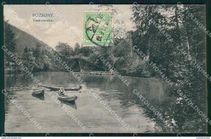 Slovacchia Bratislava Pozsony postcard XC3215
