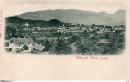 stein