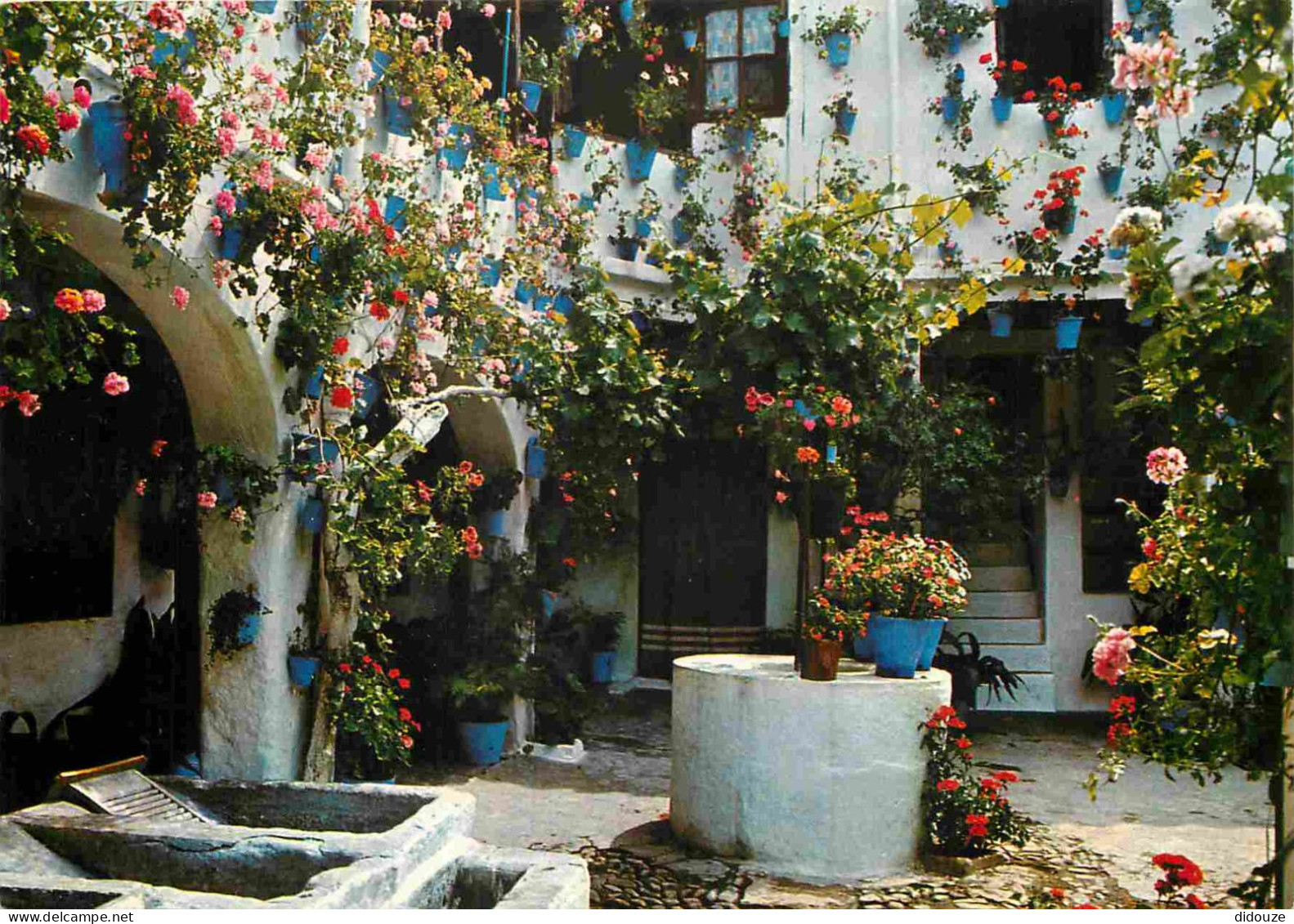 Espagne - Espana - Andalucia - Fleurs - CPM - Voir Scans Recto-Verso