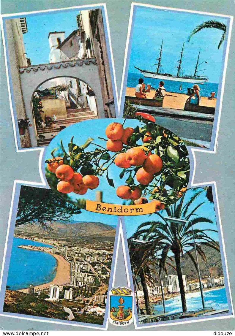 Espagne - Espana - Comunidad Valenciana - Benidorm - Multivues - Oranges - CPM - Voir Scans Recto-Verso