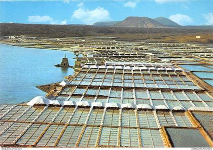 BG6129 lanzarote janubio salinas   spain