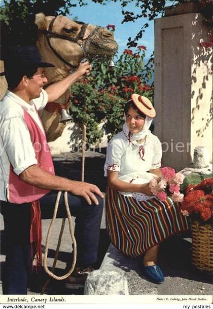 Islas Canarias Interlude