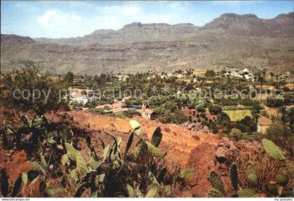 Santa-Lucia-de-Tirajana Panorama