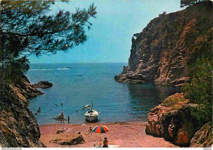 Carte Postale - Espagne - Espana - Cataluna - Costa Brava - Palamos - Cala d'els Corps - Crique des Corps - CPM - Voir S