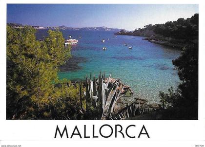CP MALLORCA