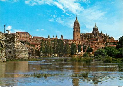 CPM Salamanca Puente Romano