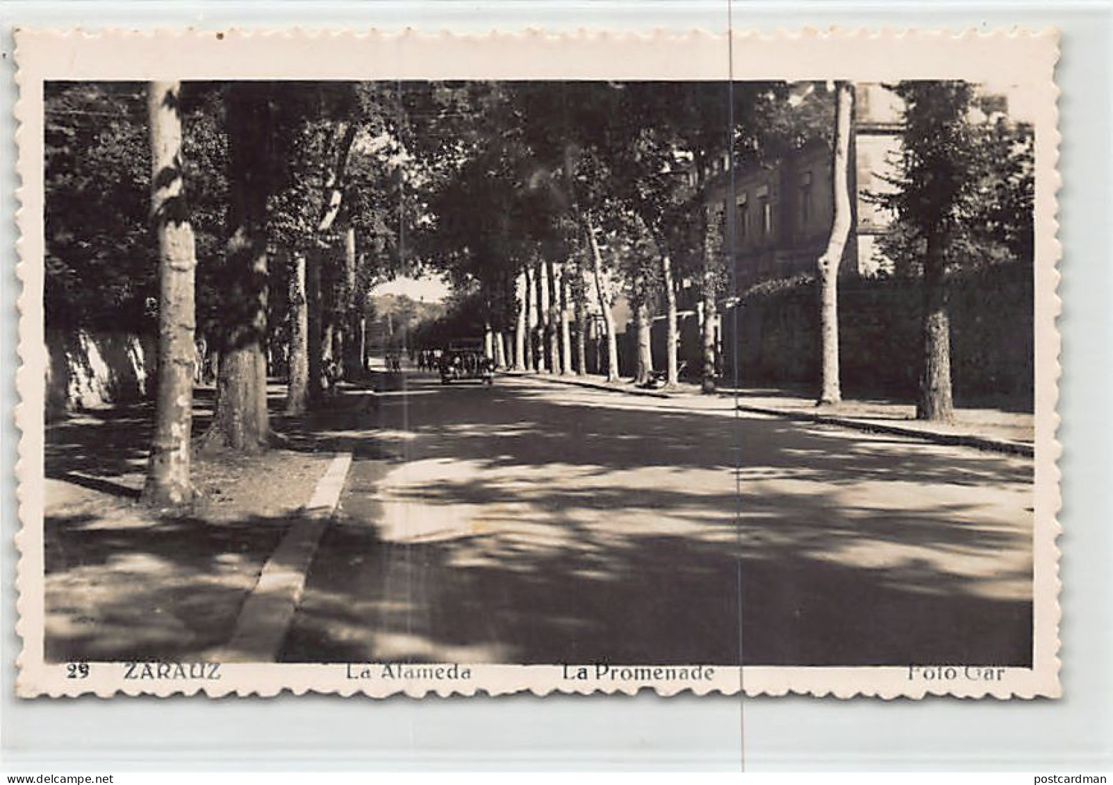España - ZARAUZ (P. Vasco) La Alameda - Ed. Foto Gar 29
