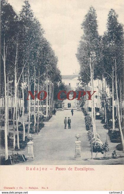 BADAJOZ PASEO DE EUCALIPTUS  ESPANA