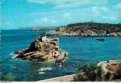 Carte Postale - Espagne - Espana - Cantabria - Santander - El Sardinero - Ensenada del Camello - La promenade du Sardini