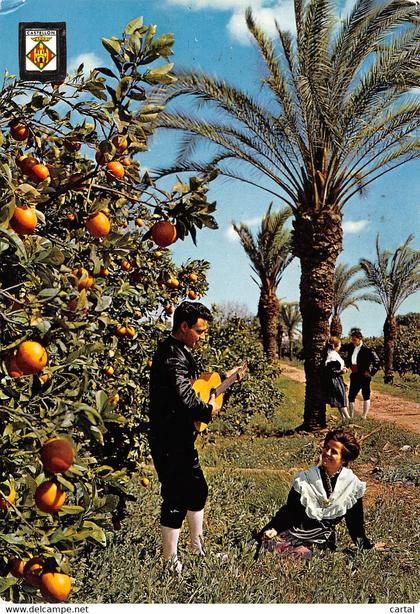 CPM - CASTELLON DE LA PLANA - Rincon de la Huerta.