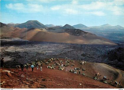 CPM Lanzarote montagne du feu caravane de chameaux