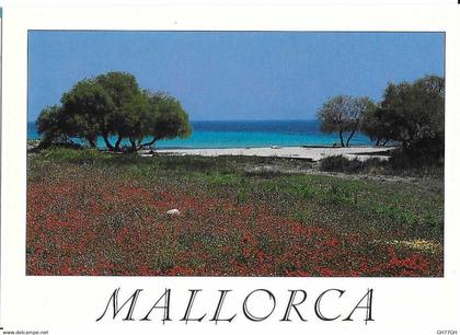 CP MALLORCA
