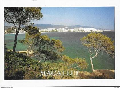 CP MALLORCA MAGALLUF