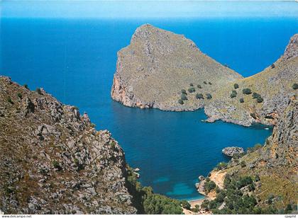 CPM Mallorca