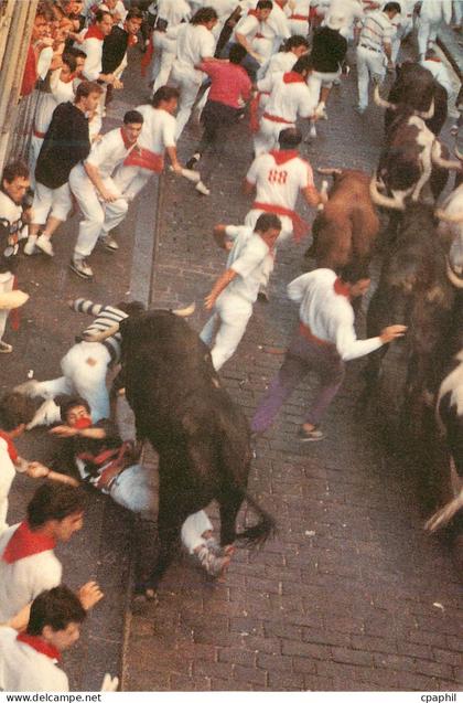 CPM N 37 fiesta de san fermin encierro pamplona navarra Taureau