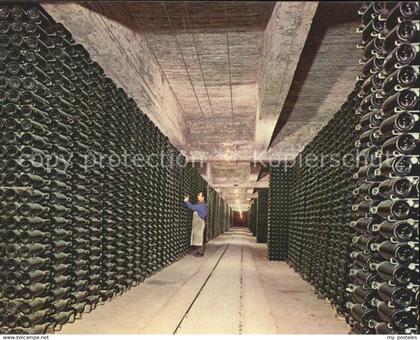 Barcelona Cataluna Cavas Codorniu Botellas envejeciendo