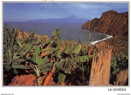 BG27617 la gomera  la playa de hermigua  teide    spain