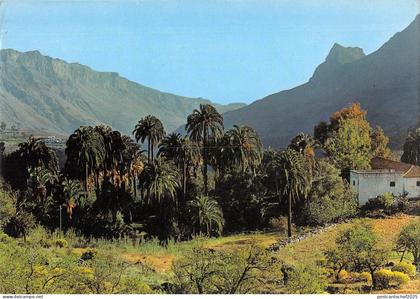 BR84646 gran canaria tipismo canaria spain