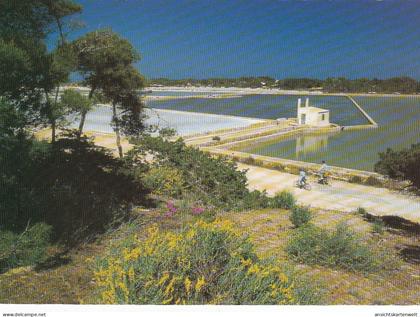 Formentera (Baléares) ngl #F2414