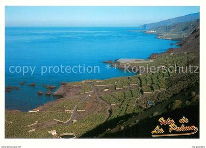 Isla de la Palma Vista del cultivo en terrazas entre Fuencaliente y Los Llanos