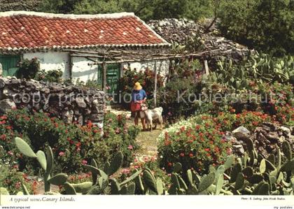 Islas Canarias Typical scene